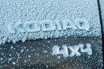 Skoda Kodiaq Scout 2017 года (WW)